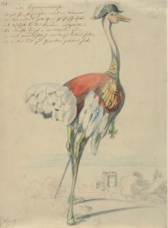 Franz Graf von Pocci - „Der Kammerstrauß“.