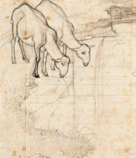 Franz Horny - Zwei trinkende Schafe