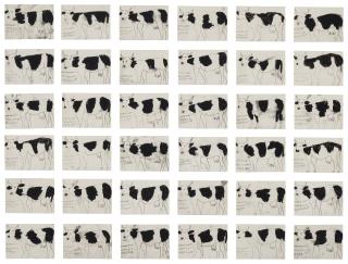 Franz Kamlander - Untitled (36 Cows)