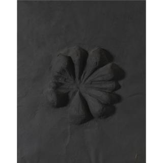 Franz Krajcberg - Flower (Black)