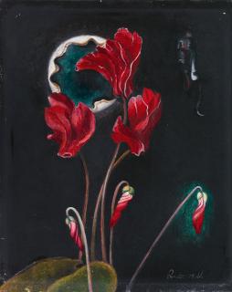 Franz Radziwill - Alpenveilchen