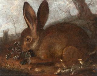 Franz Rösel von Rosenhof - Kleiner Hase, an einem Klee knabbernd