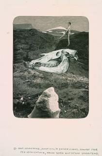 Franz Roh - 2 Bll.: Surrealistischer Schreck-Traum von der Kriegszerstörung der Museen. Aber Hanfstaengl - Elastisch, in ewiger Jugend, schwebt über der Vernichtung