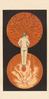 Franz Roh - „Augenbilder durch Mensch verbunden“.