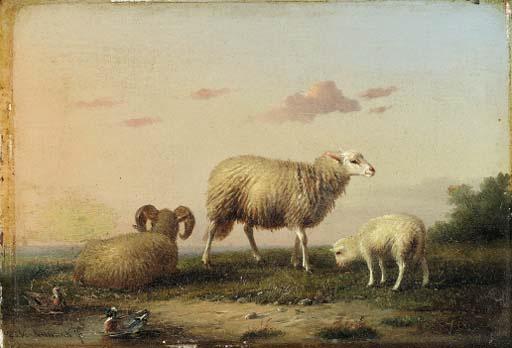 Franz Van Severdonck - A family of sheep