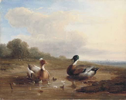 Franz van Severdonck - At the duck pond