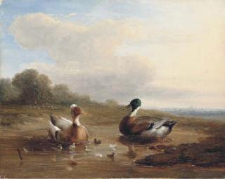Franz van Severdonck - At the duck pond