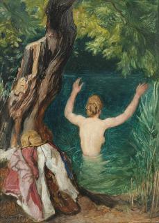 Franz Windhager - A summer swim