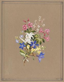 Franz Xaver Nachtmann - Alpenblumenstrauß