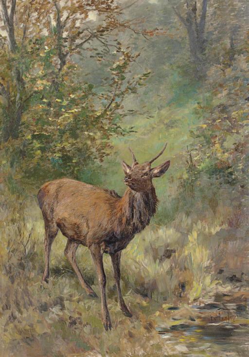 Franz Xaver von Pausinger - A Roebuck