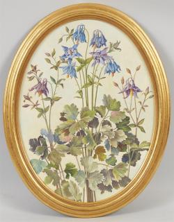 Franz Xaver Wilfrid Braunmiller - Akeleien