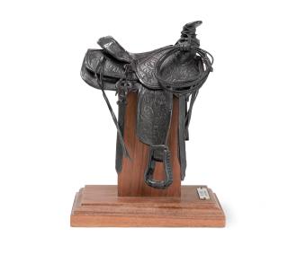 Fred Fellows - My Saddle