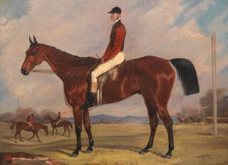 Fred Henderson - Bay Racehorse with Jockey