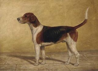 Fred Thurlby - Belvoir Trojan