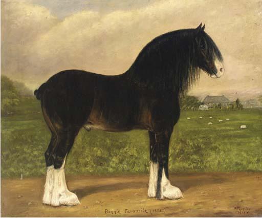 Fred Thurlby - Bonnie Favourite (18253), a heavy horse