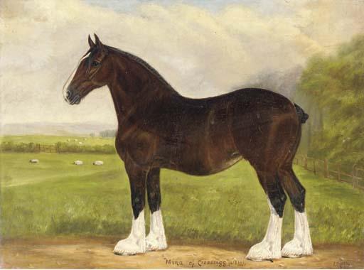 Fred Thurlby - Mina of Crossrig (41866), a heavy horse