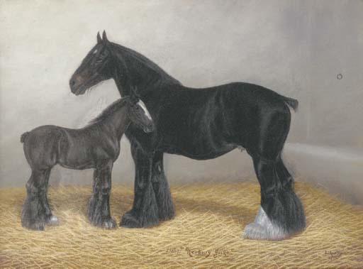 Fred Thurlby - Norbury Juno, a Shire horse with a foal in a stable
