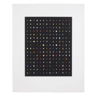 Fred Tomaselli - 16 x 14 To a Higher Power