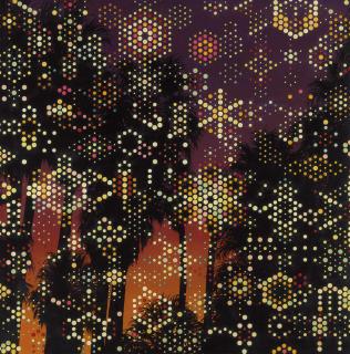 Fred Tomaselli - 49 Palms Oasis