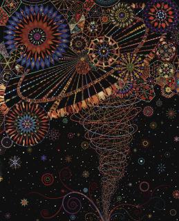 Fred Tomaselli - Abductor