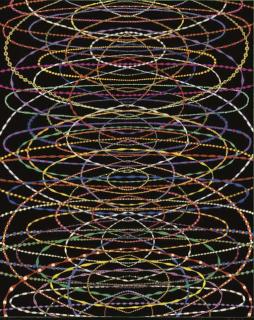 Fred Tomaselli - After Echolocation #2