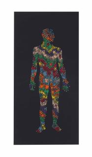 Fred Tomaselli - Animal, Vegetable, Mineral
