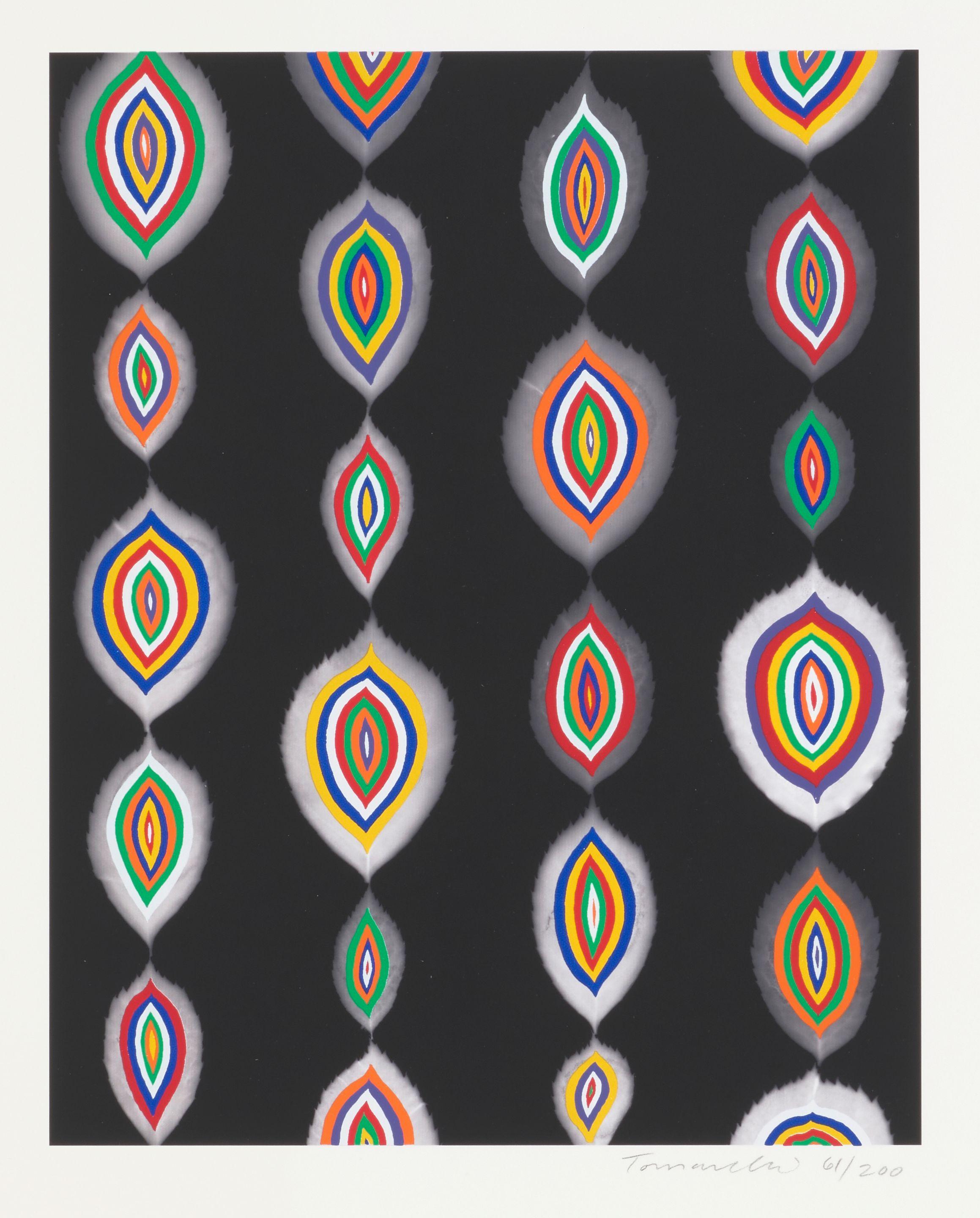 Fred Tomaselli - Bloom
