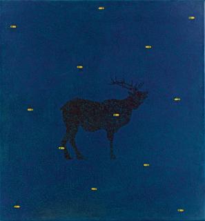 Fred Tomaselli - Call Of The Wild