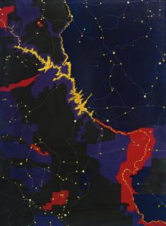 Fred Tomaselli - Colorado River