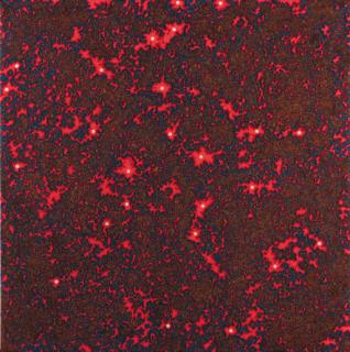 Fred Tomaselli - Escalante Warm Up