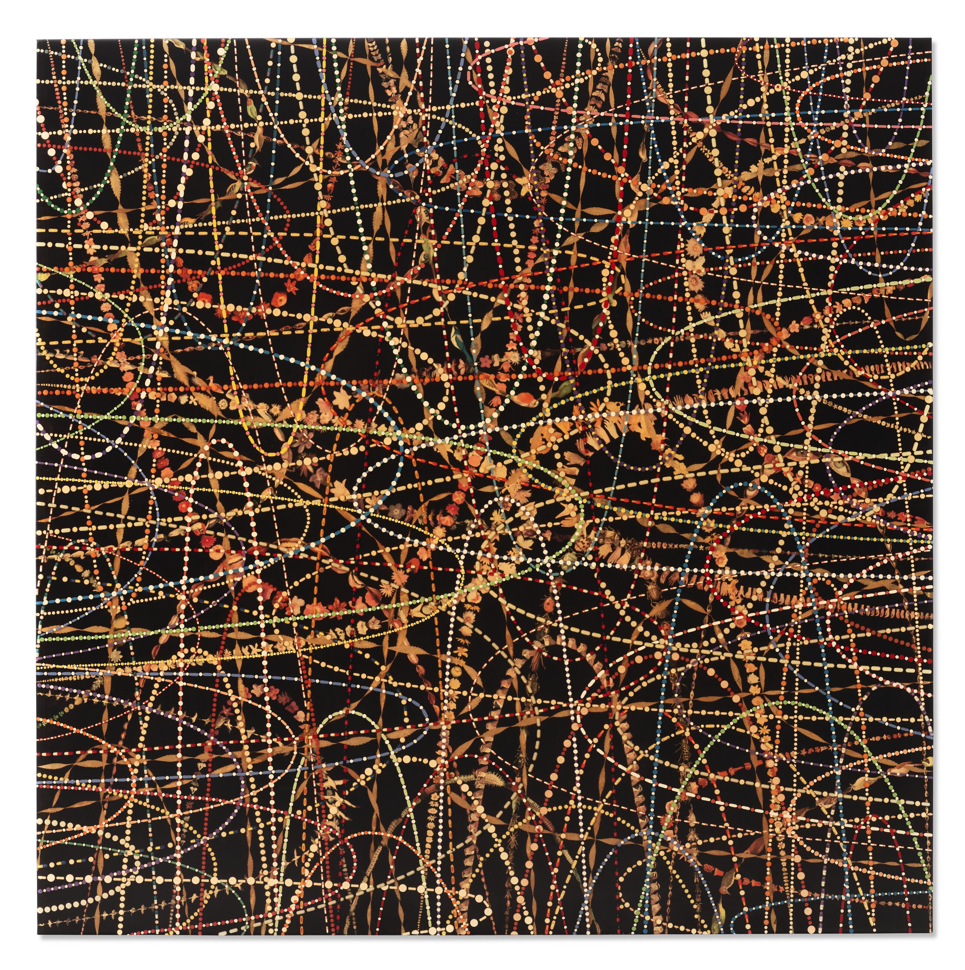 Fred Tomaselli - Gravity in Four Directions