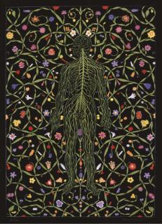 Fred Tomaselli - [Man with Flowers]
