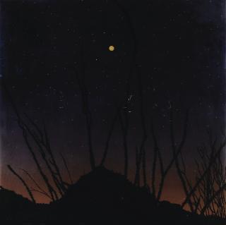 Fred Tomaselli - Moon Over Abique