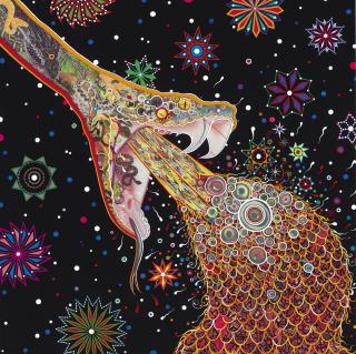 Fred Tomaselli - Penetrators