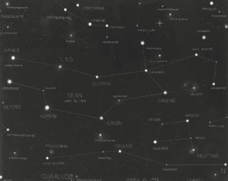 Fred Tomaselli - Portrait of Sean