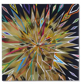 Fred Tomaselli - Rebecca