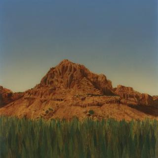 Fred Tomaselli - Red Butte