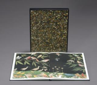 Fred Tomaselli - Rick Moody, Phrase Book, Whitney Museum of American Art, New York, 2000