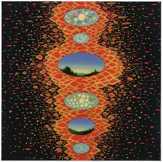 Fred Tomaselli - Scanner