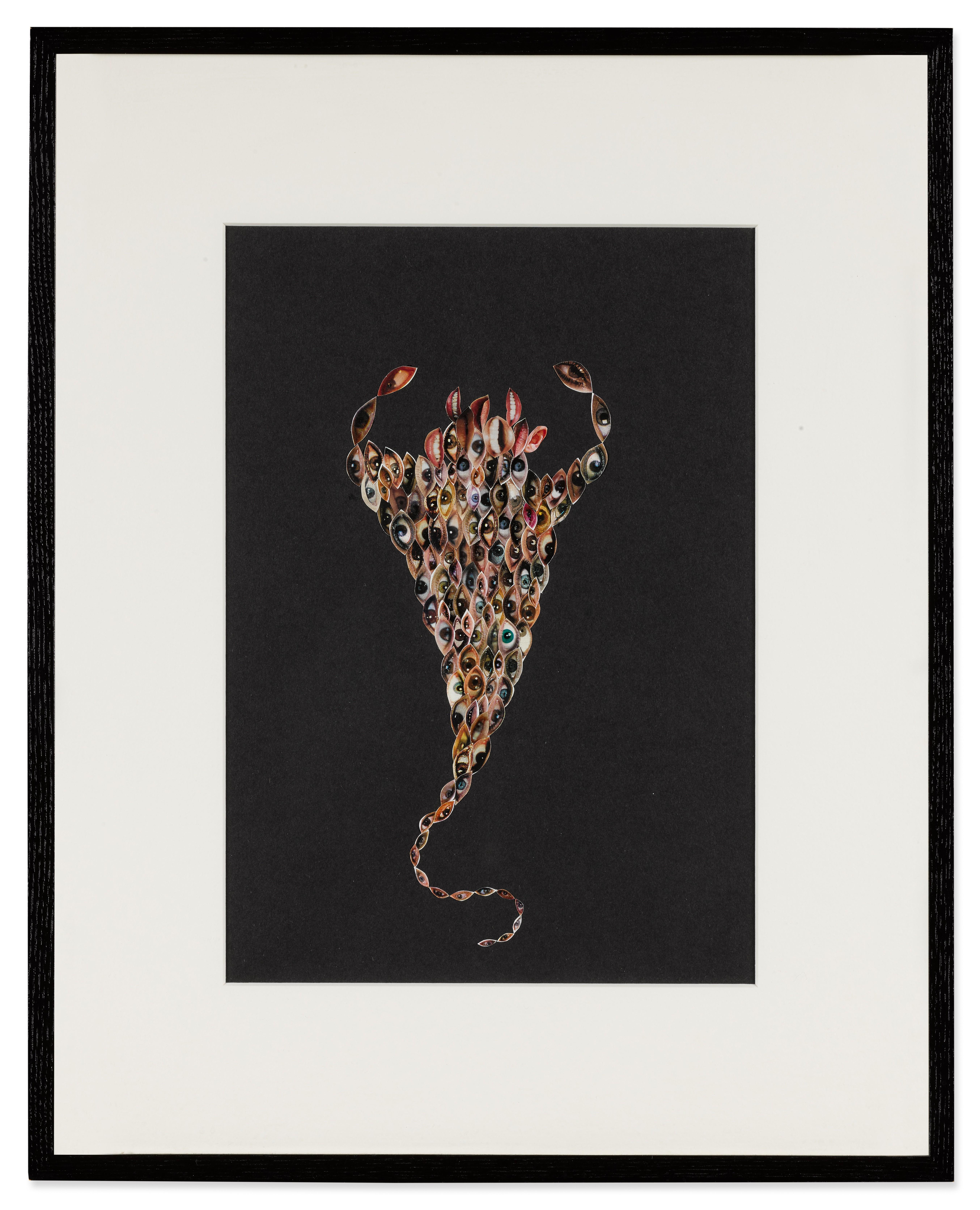 Fred Tomaselli - Untitled