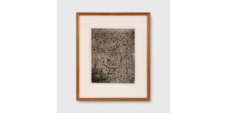 Fred Williams - Forest of Gum Trees, 1965-66