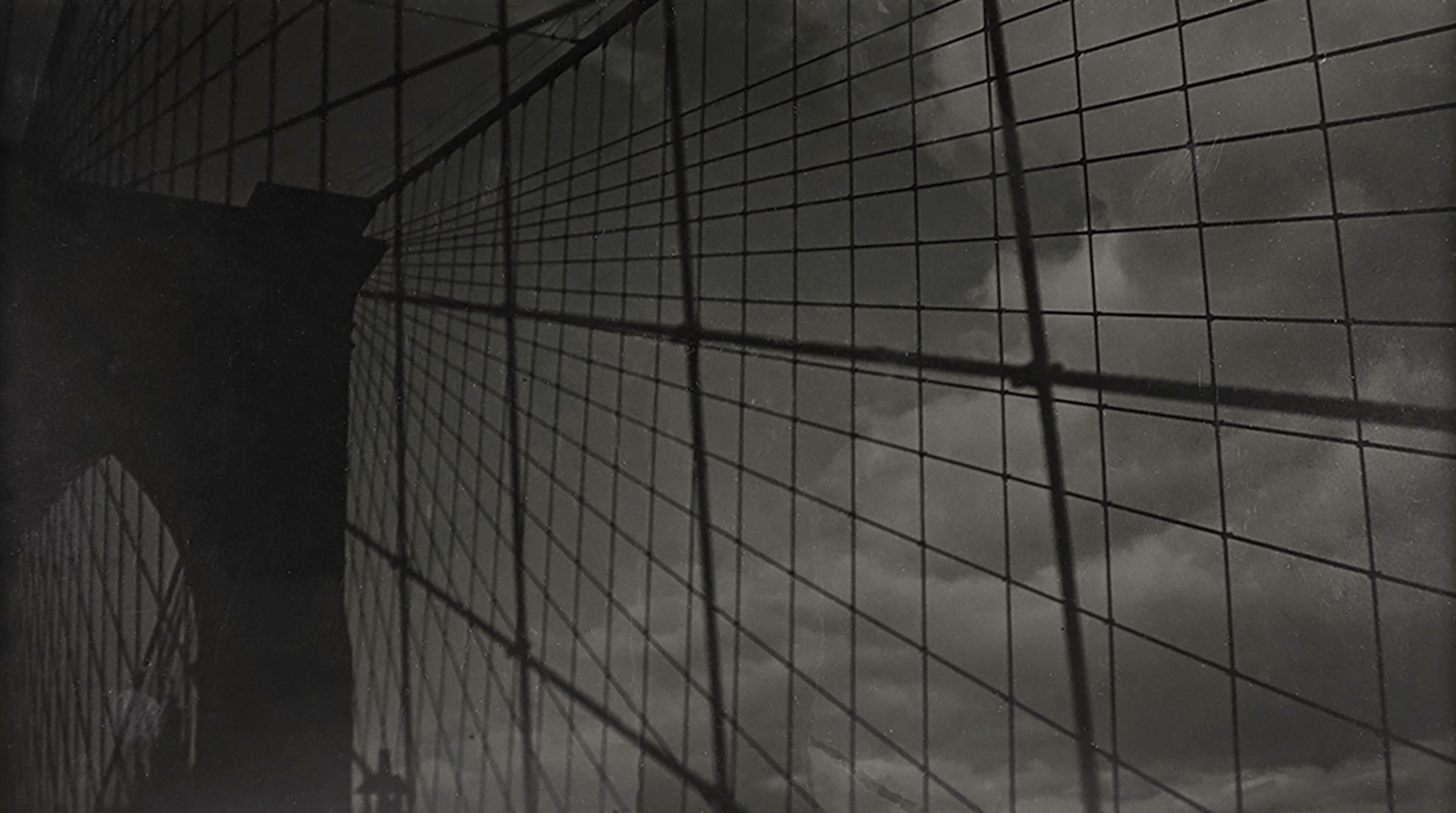 Fred Zinnemann - Brooklyn Bridge