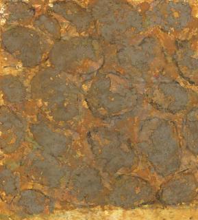 Frederic Amat - Jardi II