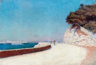 Frederic Montenard - La route côtière