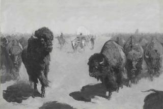 Frederic Remington - Lane Through The Buffalo Herd