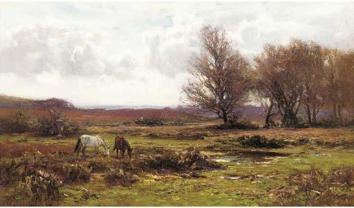 Frederick Golden Short - New Forest ponies