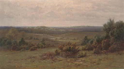 Frederick Golden Short - Puck Pits, The New Forest, Hampshire