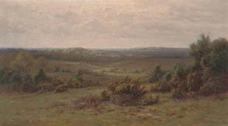 Frederick Golden Short - Puck Pits, The New Forest, Hampshire