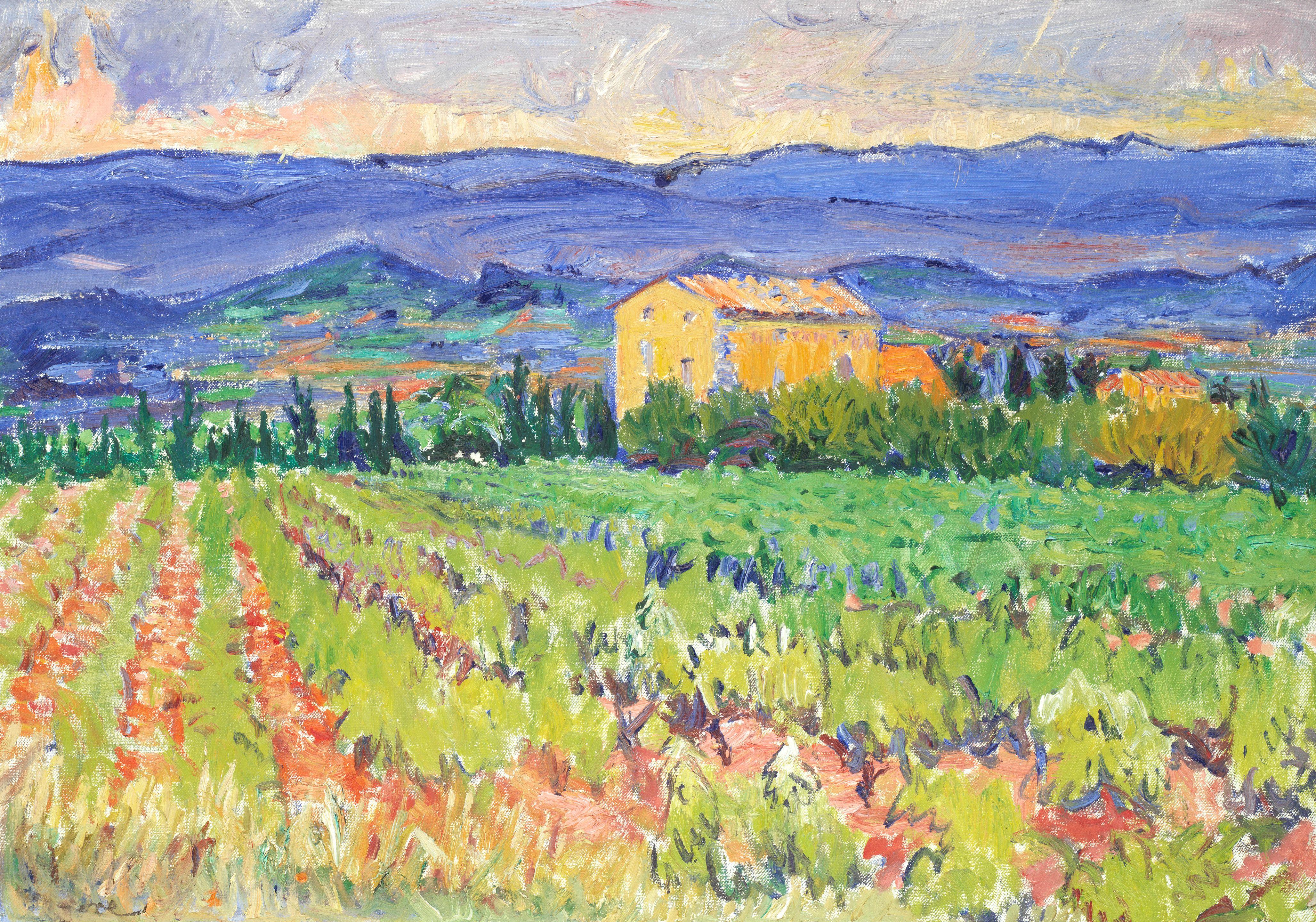 Frederick Gore C.B.E., R.A. - Vineyard with a Stormy Sky, Bonnieux, Vaucluse