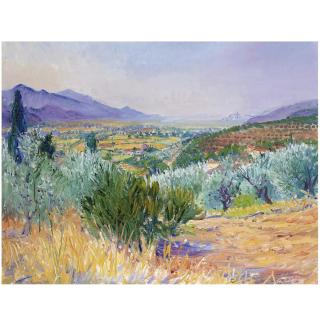 Frederick Gore - Castiglione Fiorentino, Tuscany